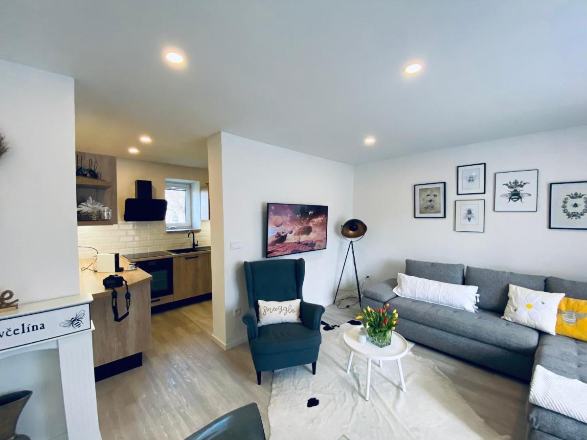 Apartman U Vcelina 齐德利纳河畔赫卢梅茨 外观 照片